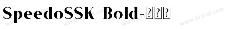 SpeedoSSK Bold字体转换